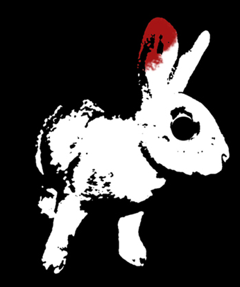 White Rabbit Red Rabbit Ithaca